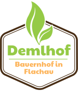 Demlhof in Flachau